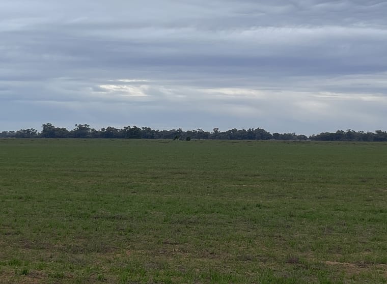Click to view all images 'East Gathan' 509 Gathan Road Deniliquin NSW 2710 - Image 3