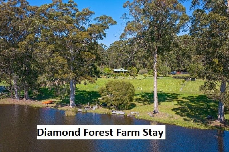 Click to view all images 29159 South Western Highway Middlesex WA 6258 - Image 2