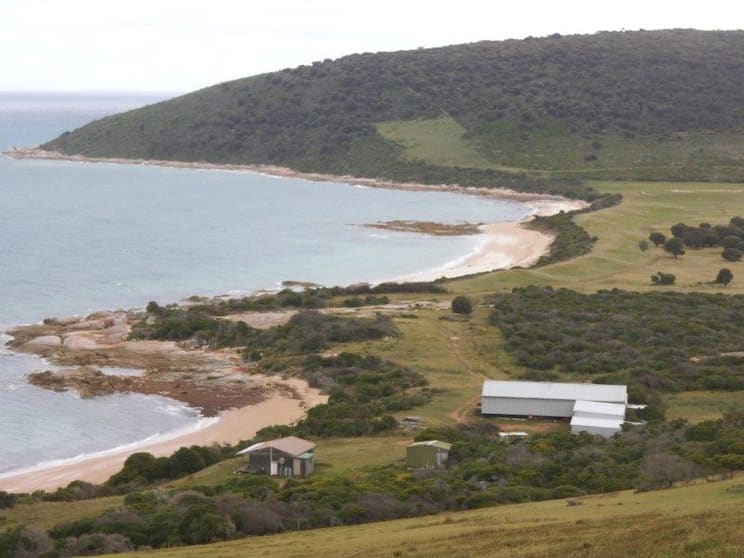 . Prime Seal Island (Bass Strait) Whitemark TAS 7255 - Image 3