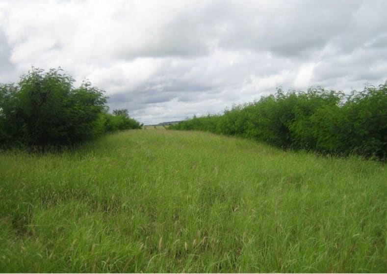 Click to view all images 416 Duck Creek Road Roma QLD 4455 - Image 2