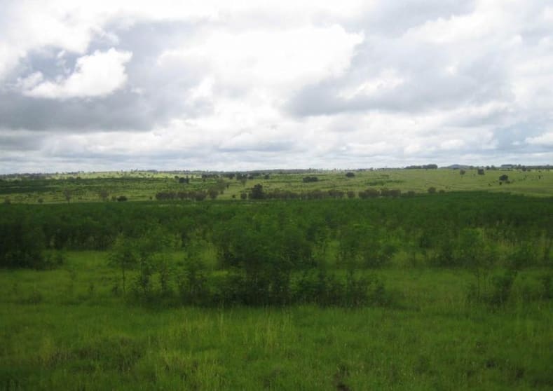 Click to view all images 416 Duck Creek Road Roma QLD 4455 - Image 3