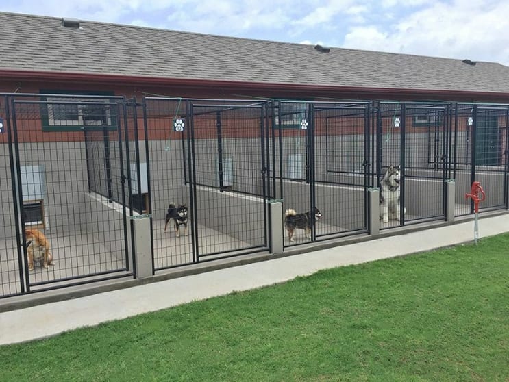Click to view all images Boarding Kennels business for sale in VIC - Image 2