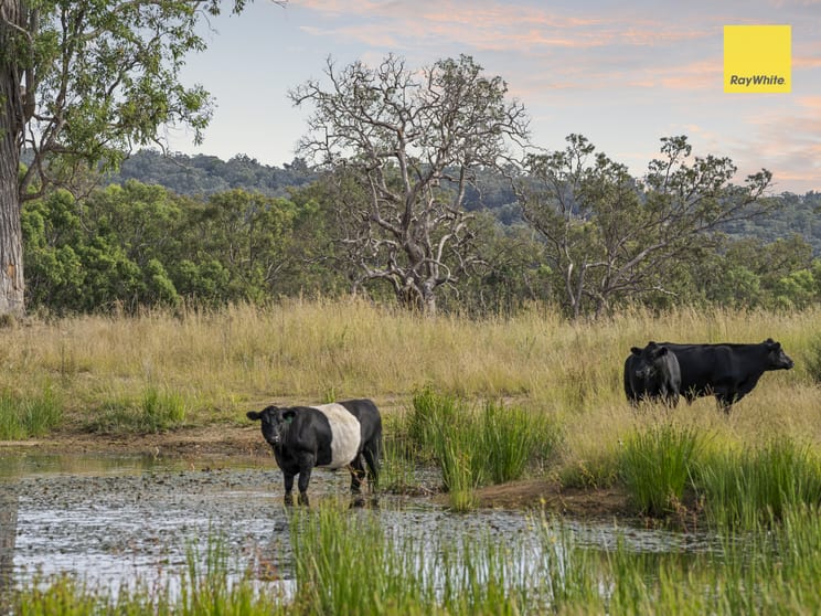 Click to view all images 559 Rifle Range Road Inverell NSW 2360 - Image 1