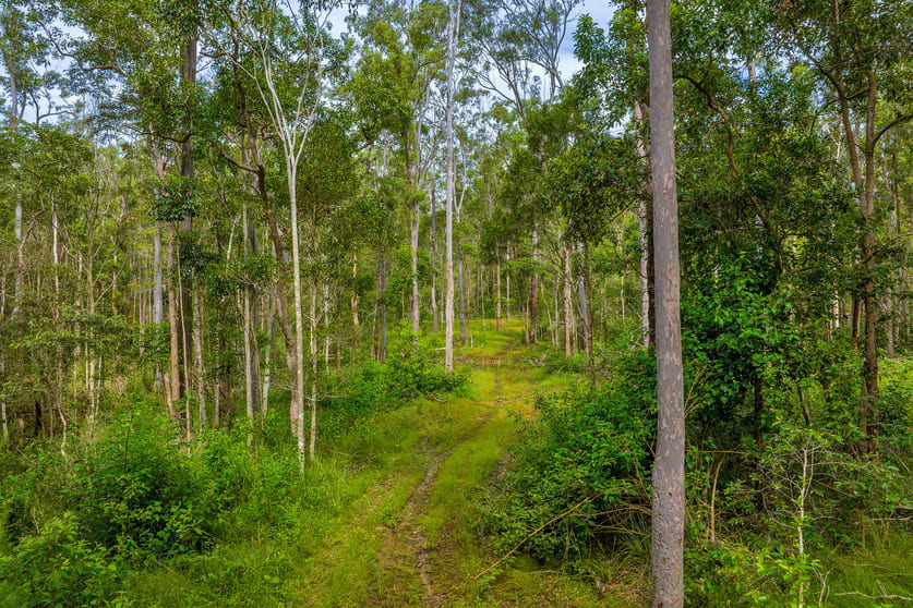 Lot 984 Arborfourteen Road Glenwood QLD 4570 - Image 2