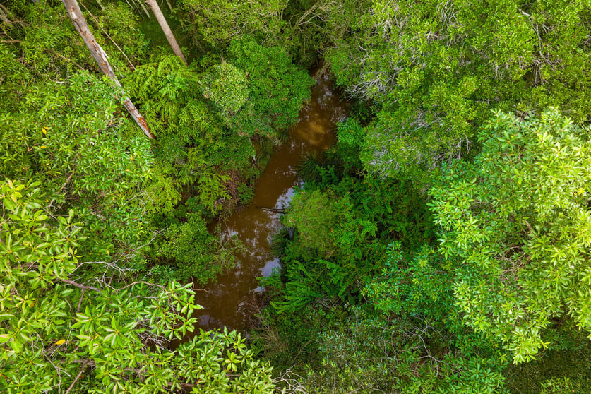 Lot 984 Arborfourteen Road Glenwood QLD 4570 - Image 3