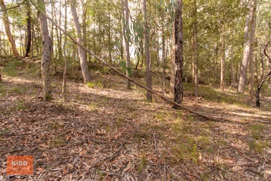 Click to view all images 62 Una Road Bucketty NSW 2250 - Image 2