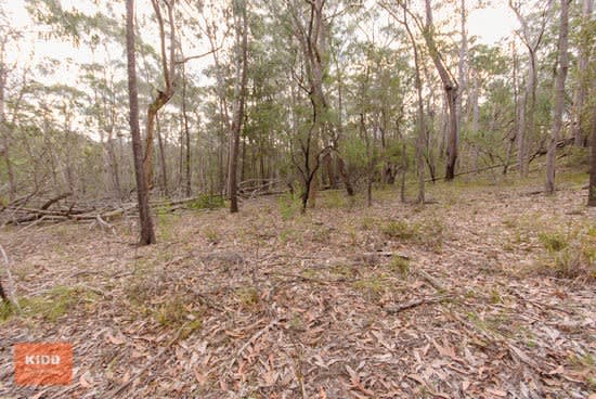 Click to view all images 62 Una Road Bucketty NSW 2250 - Image 3