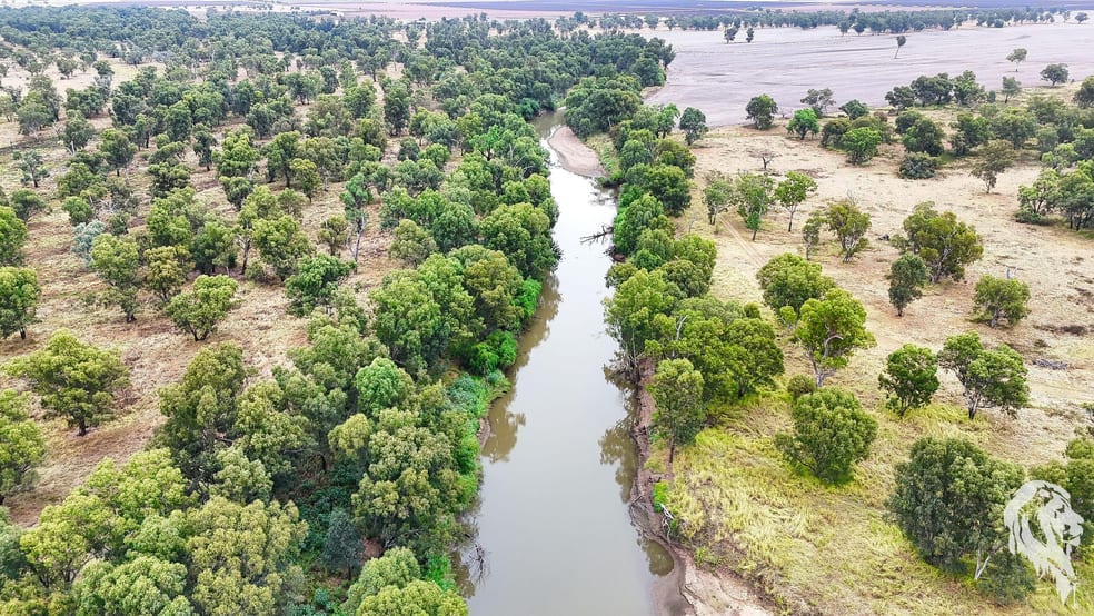Click to view all images 20713 Kamilaroi Highway Narrabri NSW 2390 - Image 2