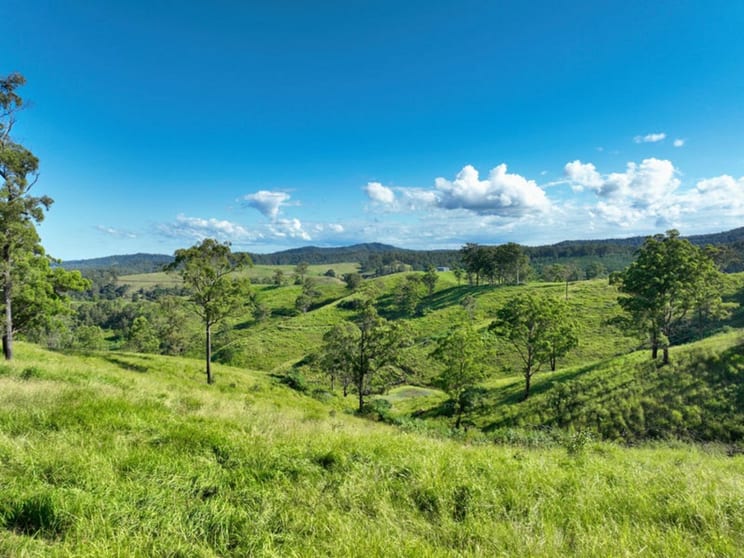 Click to view all images 59 Wyndham Road Wyneden NSW 2474 - Image 2