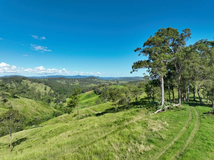 Click to view all images 59 Wyndham Road Wyneden NSW 2474 - Image 3