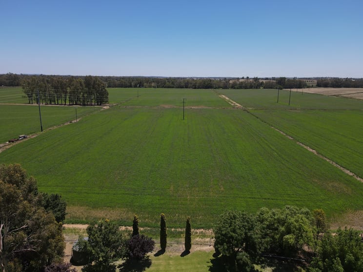 Click to view all images 160 Lachlan Valley Way Forbes NSW 2871 - Image 2