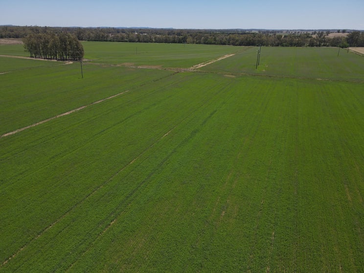 Click to view all images 160 Lachlan Valley Way Forbes NSW 2871 - Image 1
