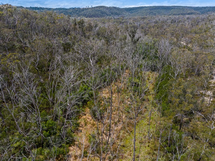 Click to view all images 1058 Caoura Road Tallong NSW 2579 - Image 3