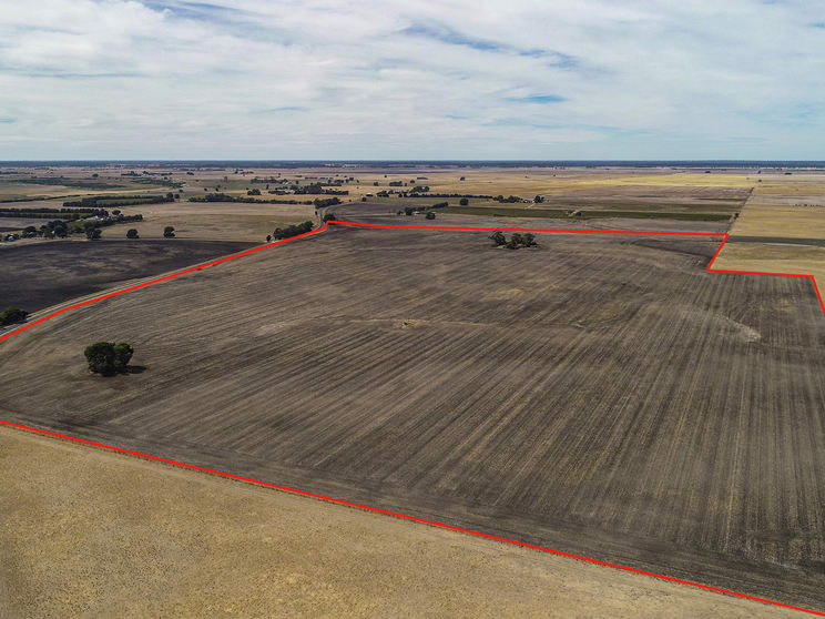 Click to view all images Lot 93 Bool Lagoon Road, Bool Lagoon Naracoorte SA 5271 - Image 2