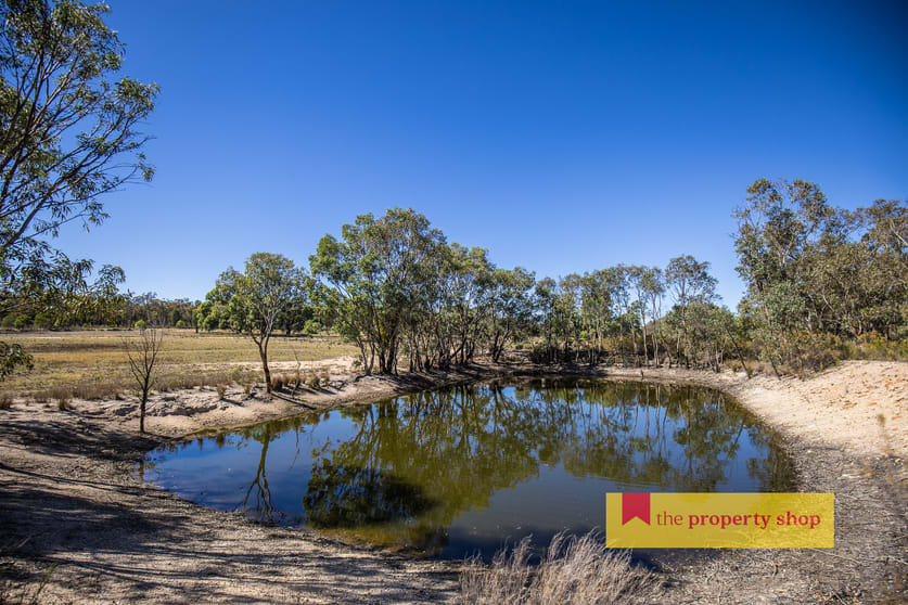 Click to view all images 1613 Spring Ridge Road Dunedoo NSW 2844 - Image 2