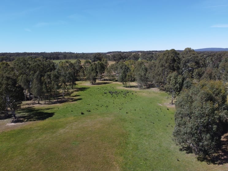 Click to view all images Rocky Ridge Road Carapooee VIC 3477 - Image 1
