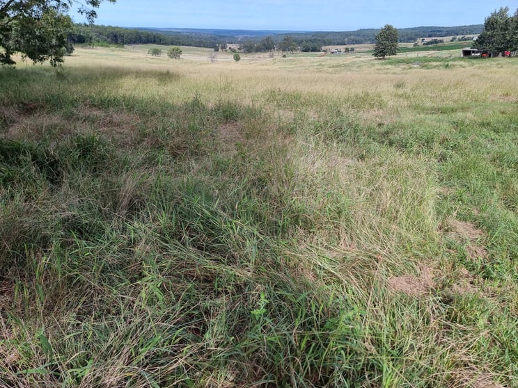 Click to view all images 725 Mount Mceuen Road Wondai QLD 4606 - Image 3
