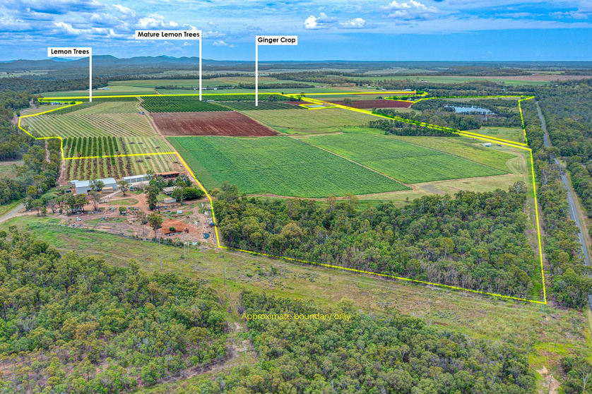 Click to view all images 66 McLeods Road Bullyard QLD 4671 - Image 2
