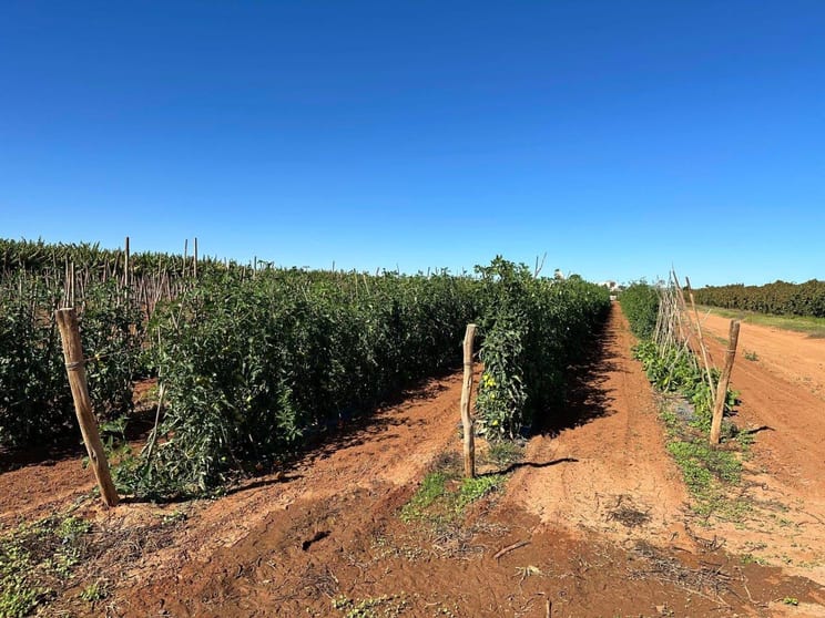 Click to view all images 11 Bibbawarra Road Kingsford WA 6701 - Image 2