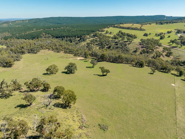 Click to view all images 892 Isabella Road Isabella NSW 2795 - Image 1