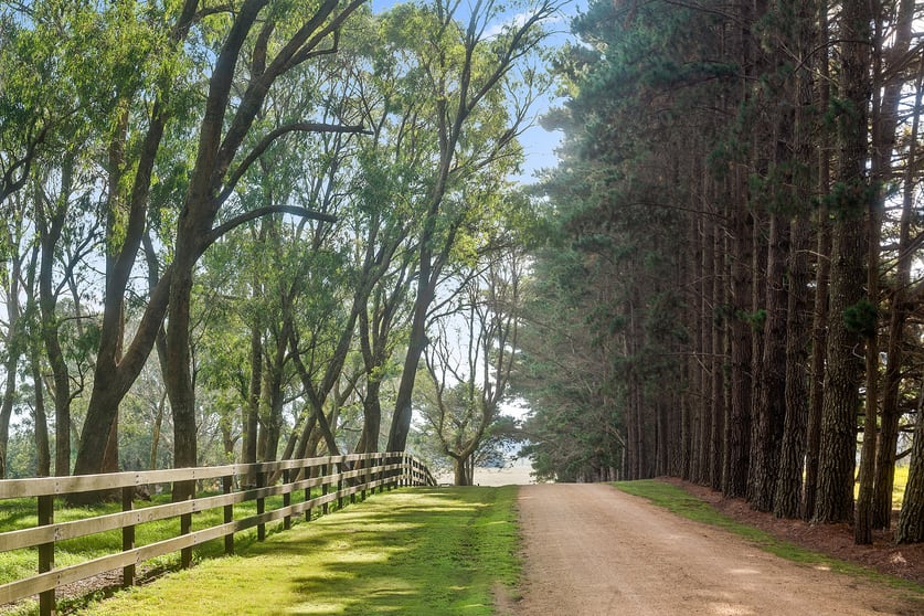 303 Sproules Lane Glenquarry NSW 2576 - Image 3