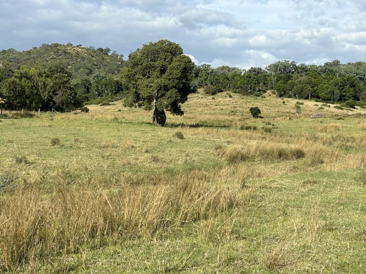 Click to view all images Lot 46 Bunya Mountains Maclagan Road Rangemore QLD 4352 - Image 1