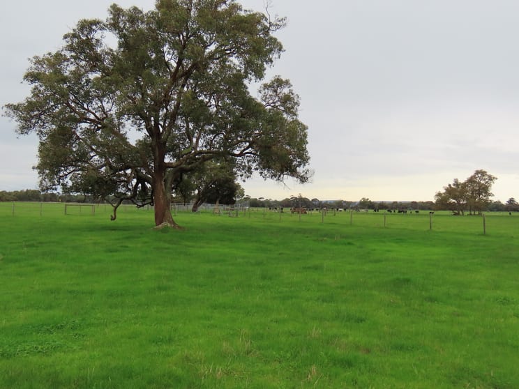 Click to view all images Lots Marsh Road West Pinjarra WA 6208 - Image 2