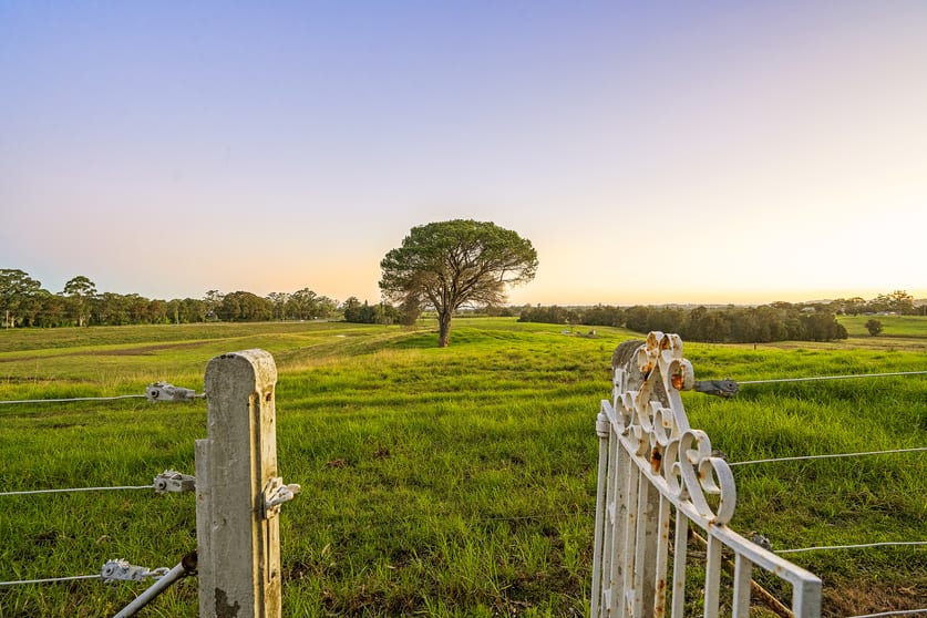 Lot 4,5 -1155 Tocal Road Paterson NSW 2421 - Image 2