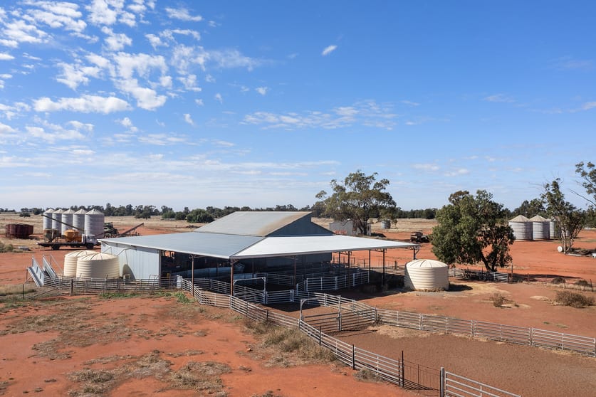 Click to view all images 4229 Bobadah Road Bobadah NSW 2877 - Image 3
