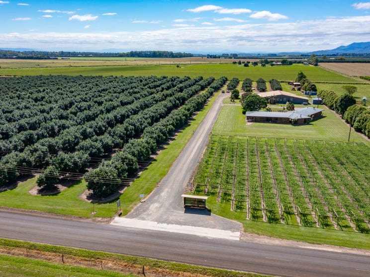 Click to view all images Atherton QLD 4883 - Image 2