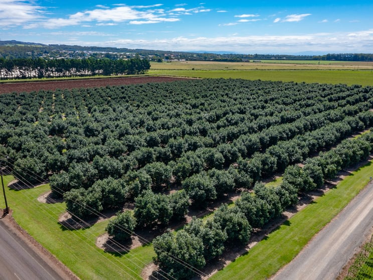 Click to view all images Atherton QLD 4883 - Image 3