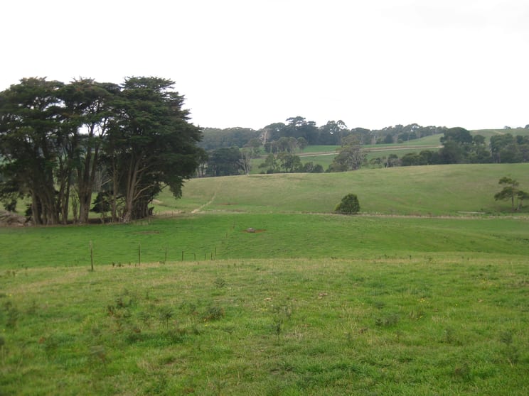 Click to view all images 36 Reids Road Irishtown TAS 7330 - Image 1