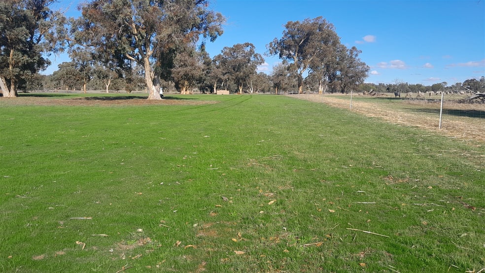 Click to view all images 715 Mattiske Road Katanning WA 6317 - Image 1