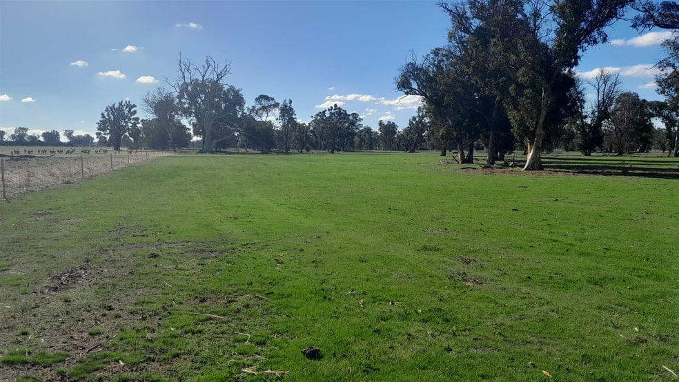 Click to view all images 715 Mattiske Road Katanning WA 6317 - Image 2