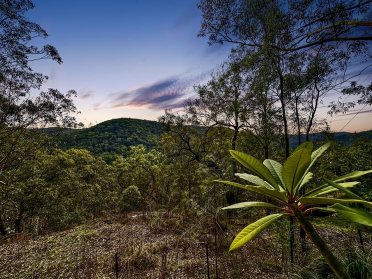 2127 Wollombi Road Sweetmans Creek NSW 2325 - Image 3