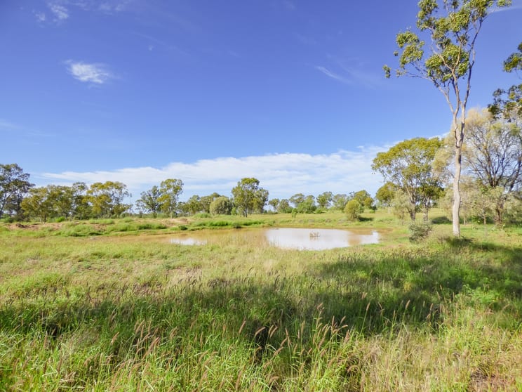 Click to view all images 123 Warooby Lane Roma QLD 4455 - Image 2