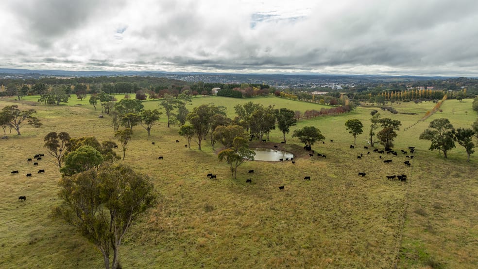 Click to view all images 261-335 Bundarra Road Armidale NSW 2350 - Image 1