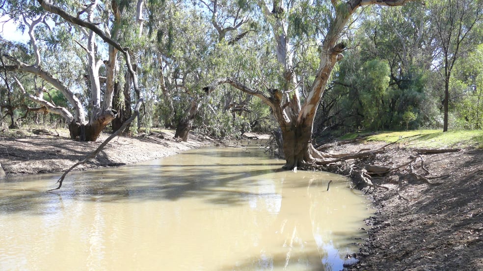 Click to view all images . Gradgery Lane Warren NSW 2824 - Image 1