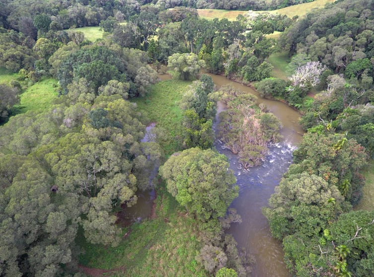 Click to view all images RN928 Glen Allyn Rd Malanda QLD 4885 - Image 2