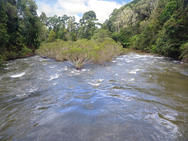Click to view all images RN928 Glen Allyn Rd Malanda QLD 4885 - Image 3
