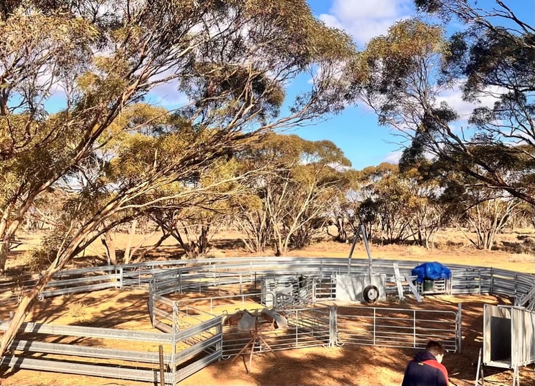 Click to view all images Sec 66 Hundred of Brownlow Brownlow SA 5374 - Image 3