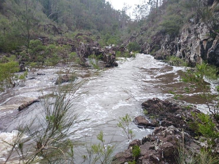 Click to view all images 625 Sugarbag rd (east ) Tabulam NSW 2469 - Image 3