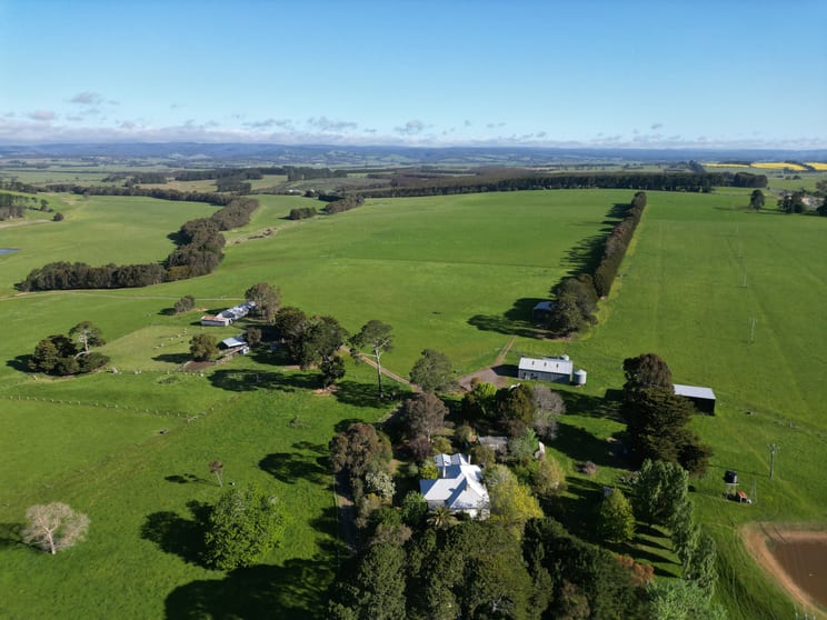 Click to view all images 463 Birregurra-Forrest Road Birregurra VIC 3242 - Image 3