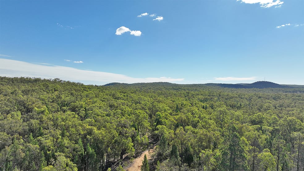 2317 NEWELL HIGHWAY Coonabarabran NSW 2357 - Image 3