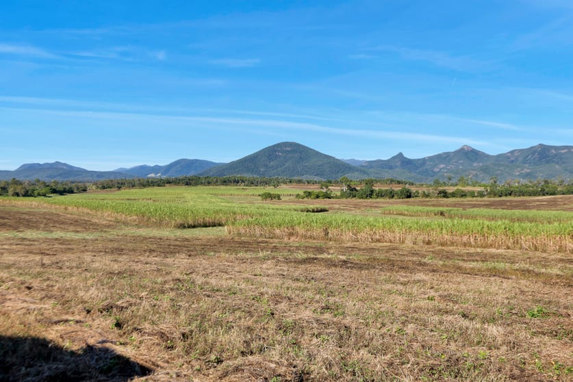 Lot 21, 241 Wintons Road Yalboroo QLD 4741 - Image 2