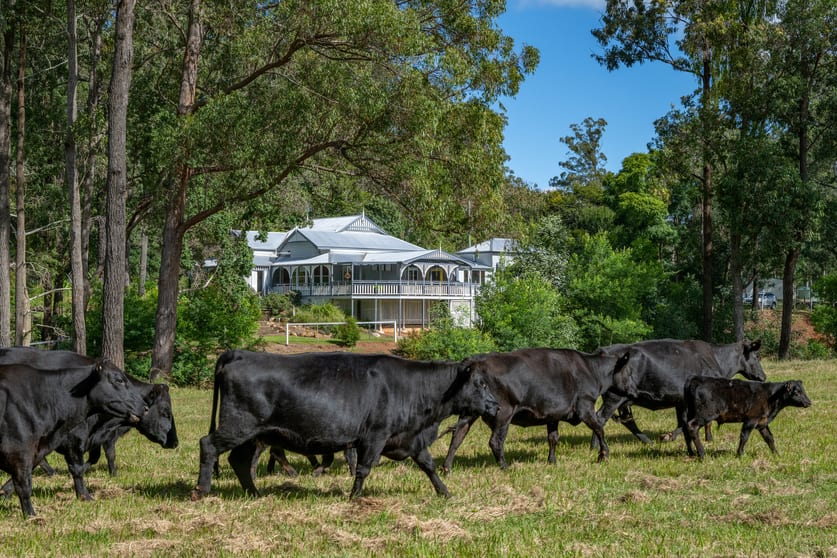 Click to view all images 227 Cherry Creek Road Cherry Creek QLD 4314 - Image 3