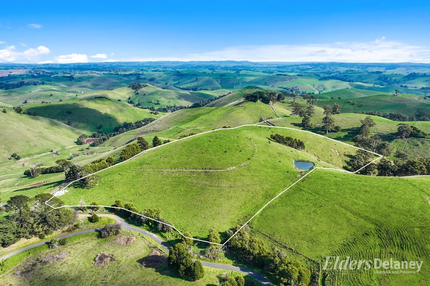 8 Curwen Road Mountain View VIC 3988 - Image 2