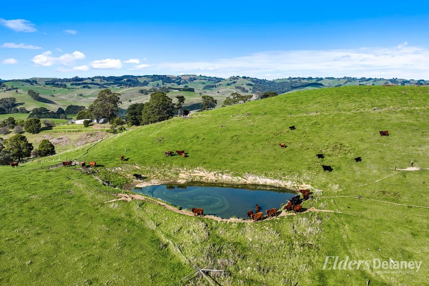 8 Curwen Road Mountain View VIC 3988 - Image 3