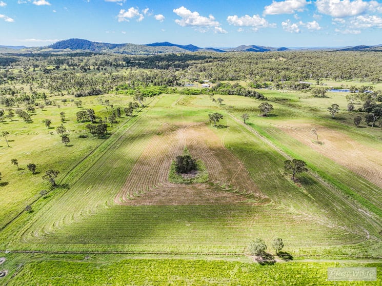 Click to view all images 76 Mount Chalmers Road Cawarral QLD 4702 - Image 1