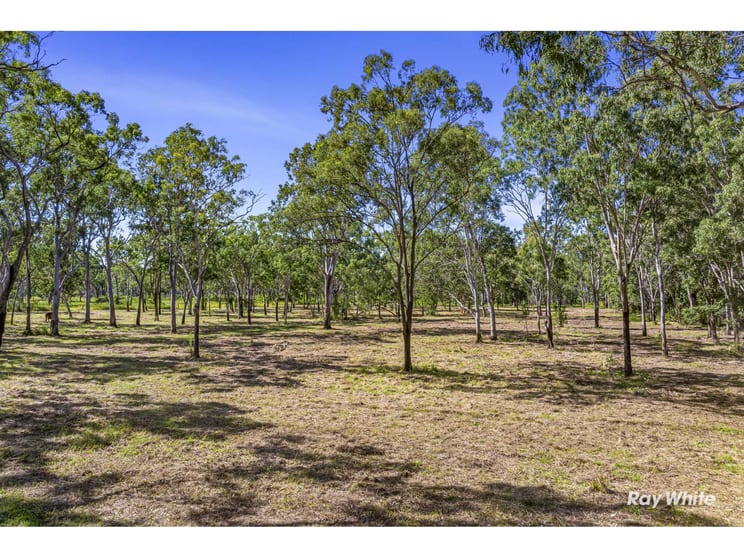 487 Tanby Road Taroomball QLD 4703 - Image 3